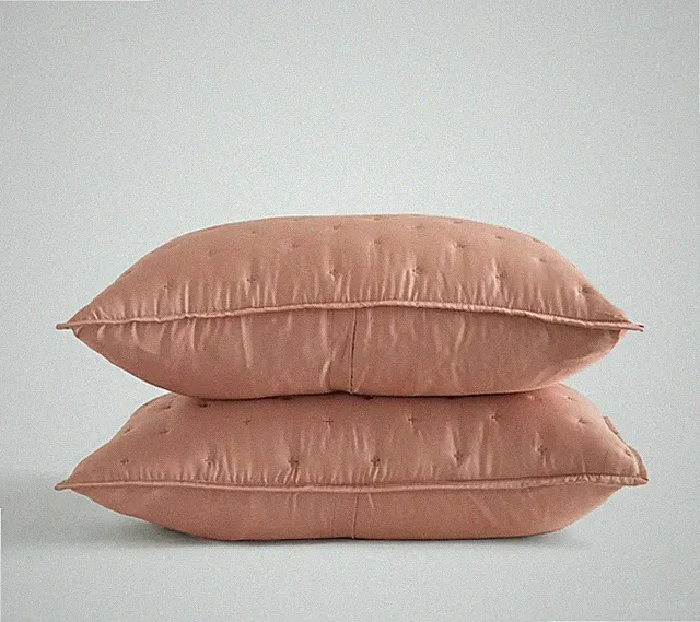 NWOT! Quince Organic Bamboo Set Of 2 Clay Shams! KING (S77)